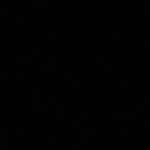 Meet your Posher, Tamaya